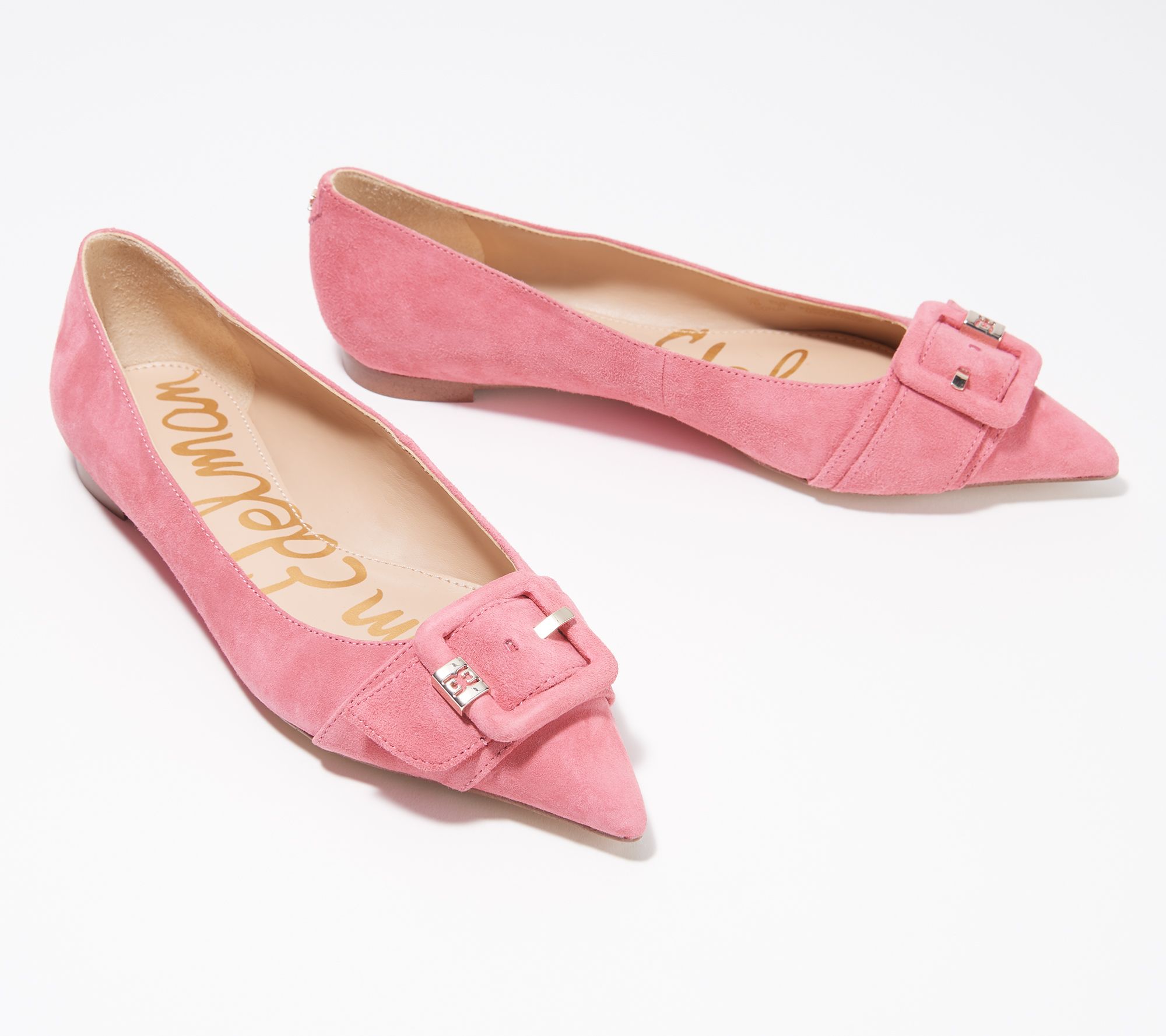 sam edelman sonja pointed toe flat