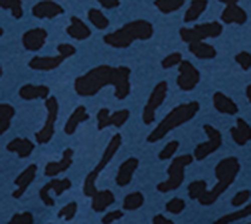 Moonlit Blue