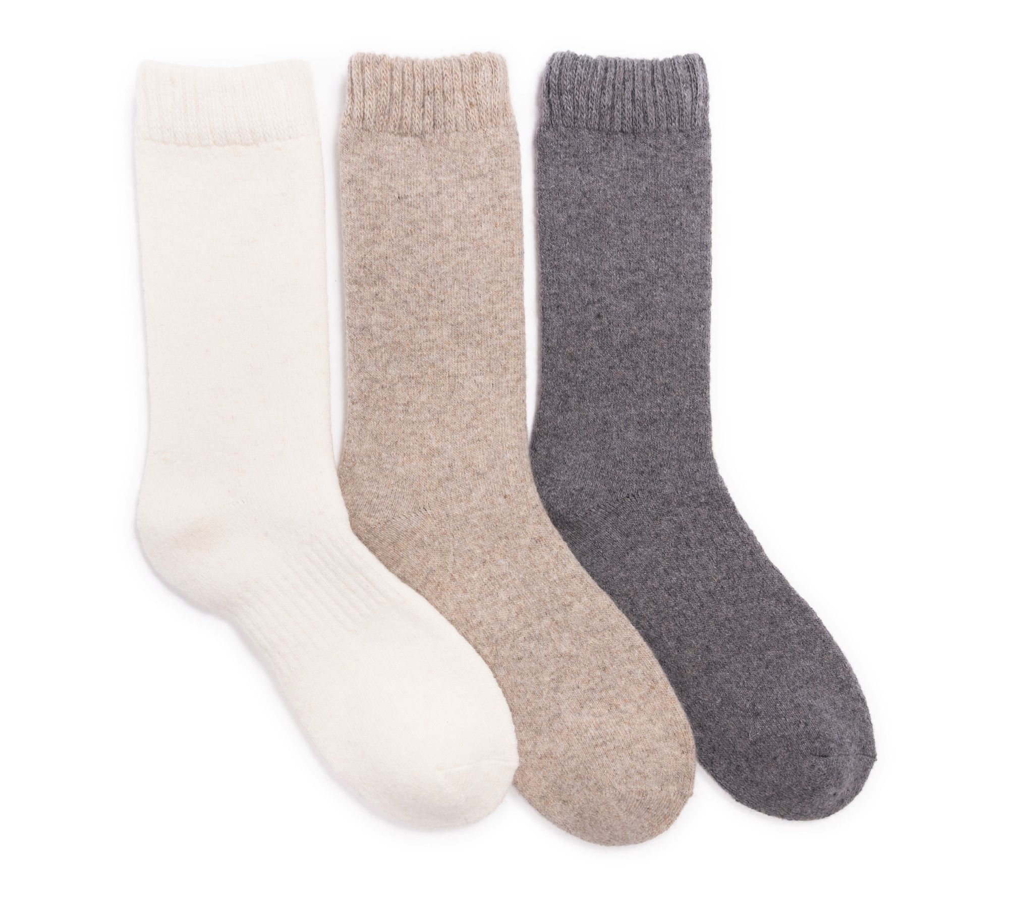 Muk Luks 3 PK Wool 6" Crew sock
