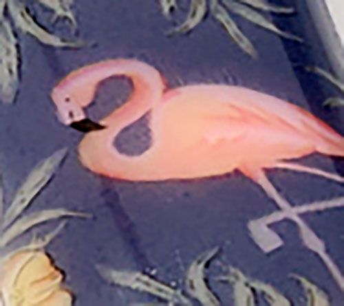 Flamingo