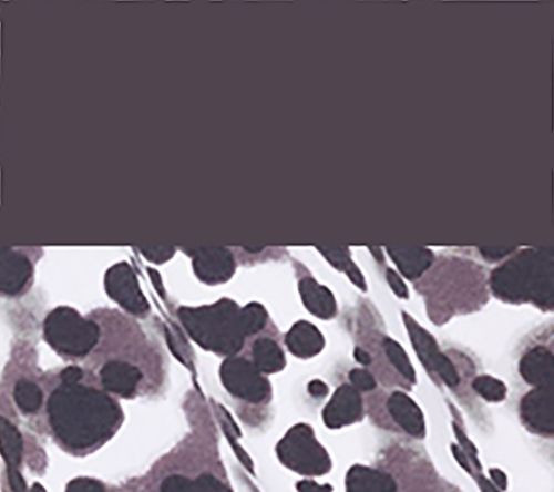 Denim & Co. Essentials Printed/Solid Jersey 2-Pack Swing Tank Tops