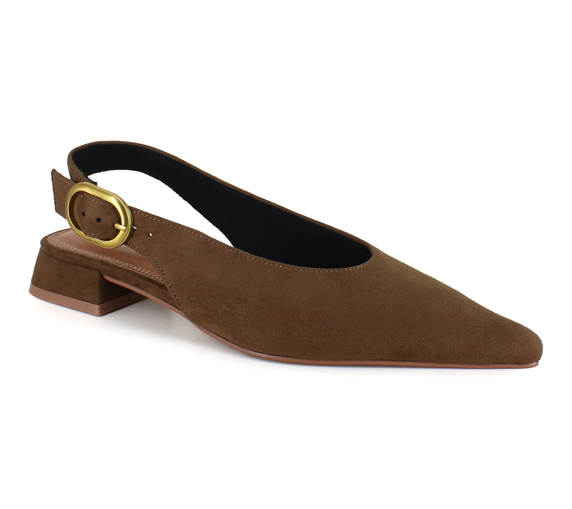 BCBG Leonora Pointed Toe Flat