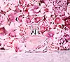Estee Lauder Beautiful Magnolia Eau de Parfum Spray - 3.4-oz, 1 of 4