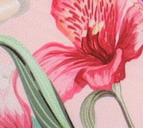 Pink/Orange/Fus