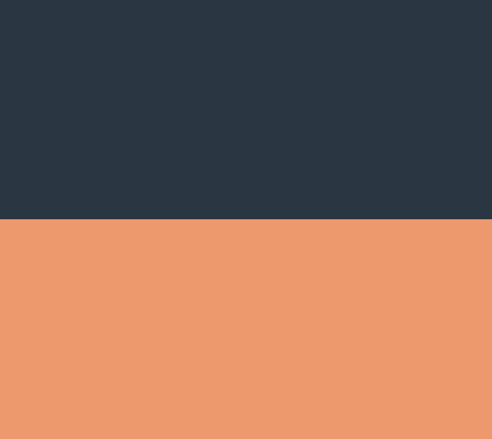 Navy/Copper