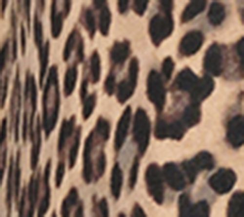 Mocha Leopard