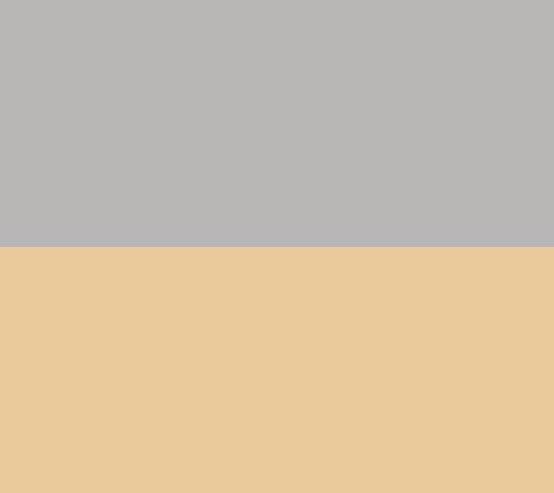 Silver/Gold