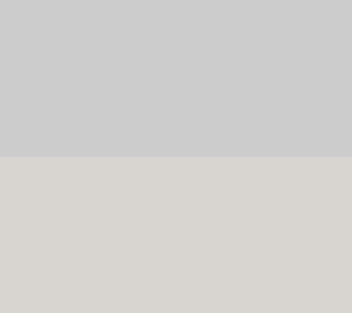 Silver/Grey