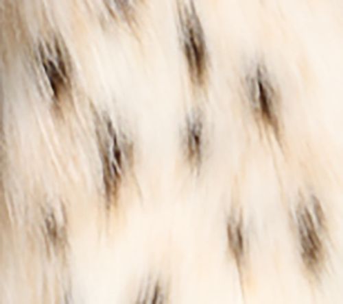 Snow Leopard
