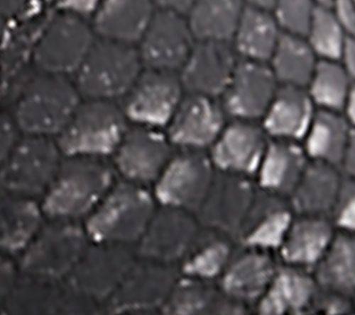 Black/Silver