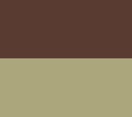 Chocolate/Olive