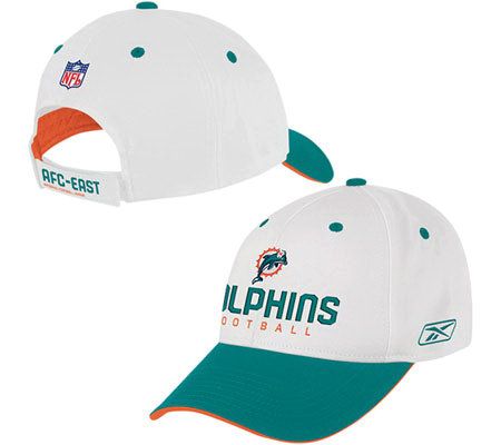 Miami Dolphins Vintage Google Home Skin