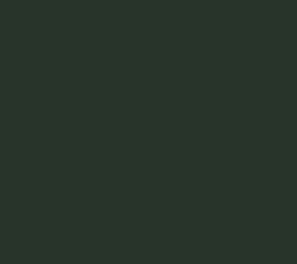 Dark Evergreen