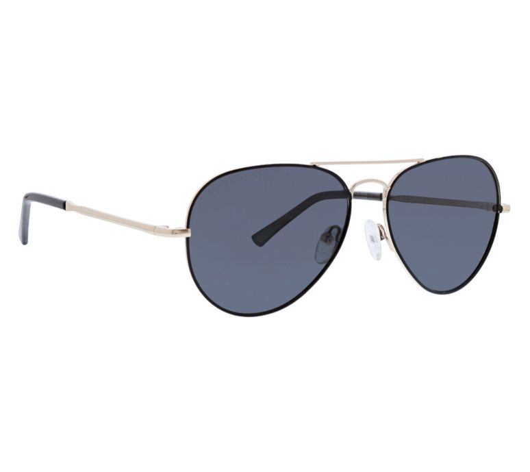 Life is Good Beford Aviator Unisex Polarized Sunglasses