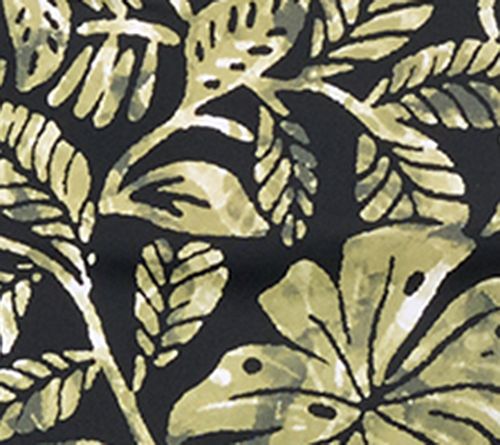 Olive Palm