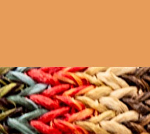 Tan/Red Tone