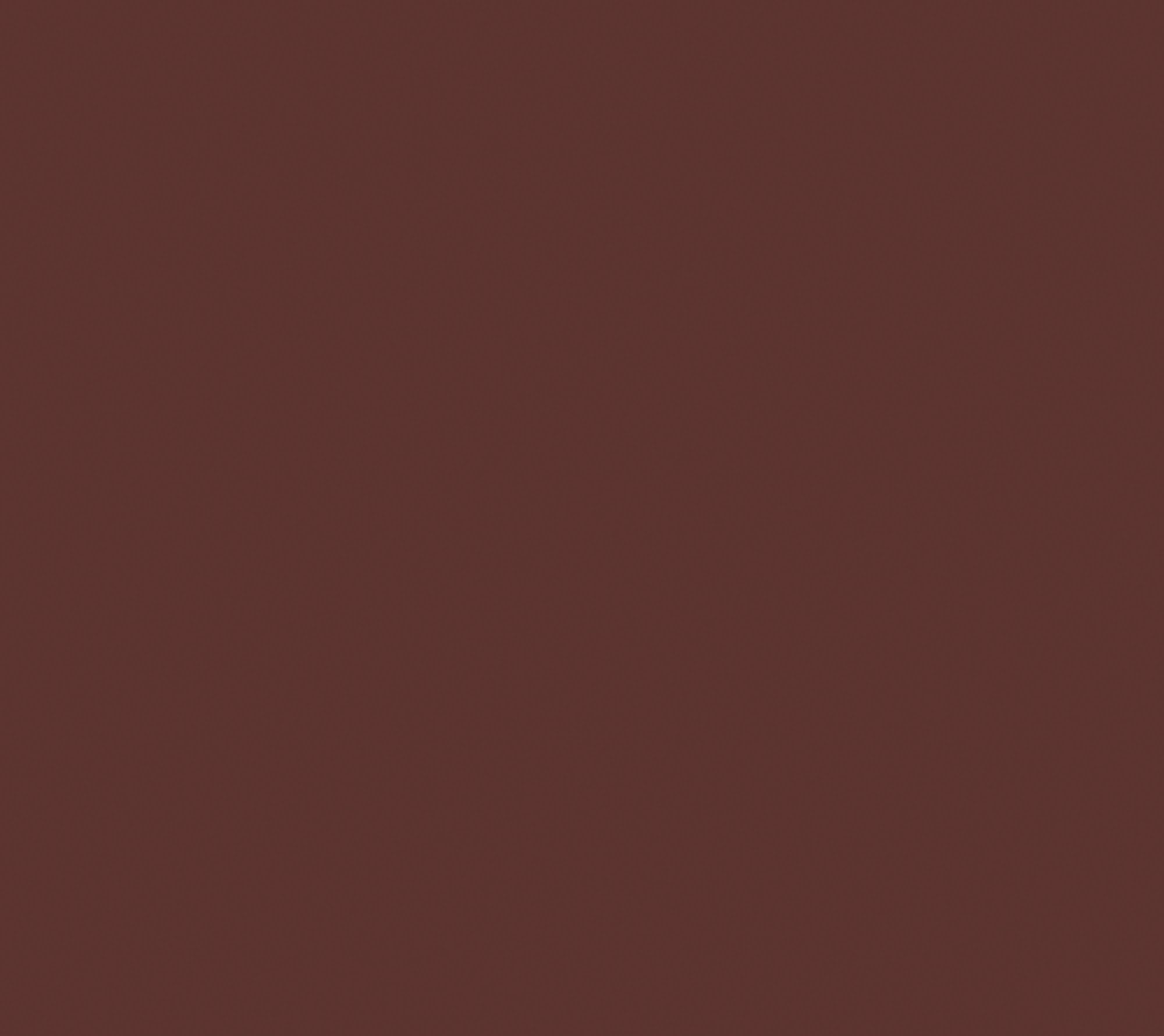 Chicory Brown
