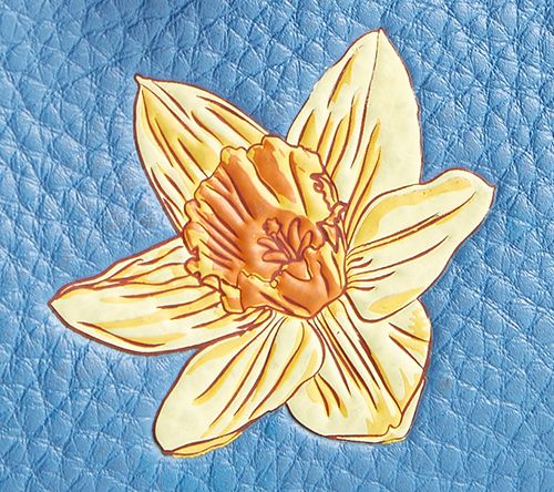 DaffodilQHarbor