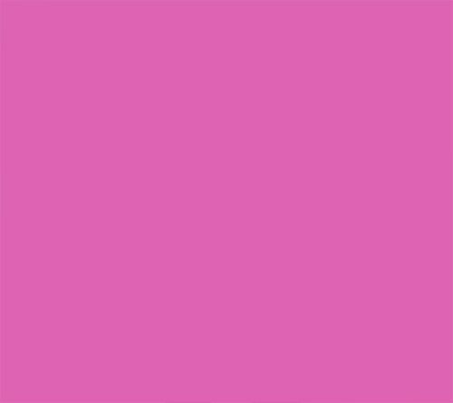 Vivid Purple