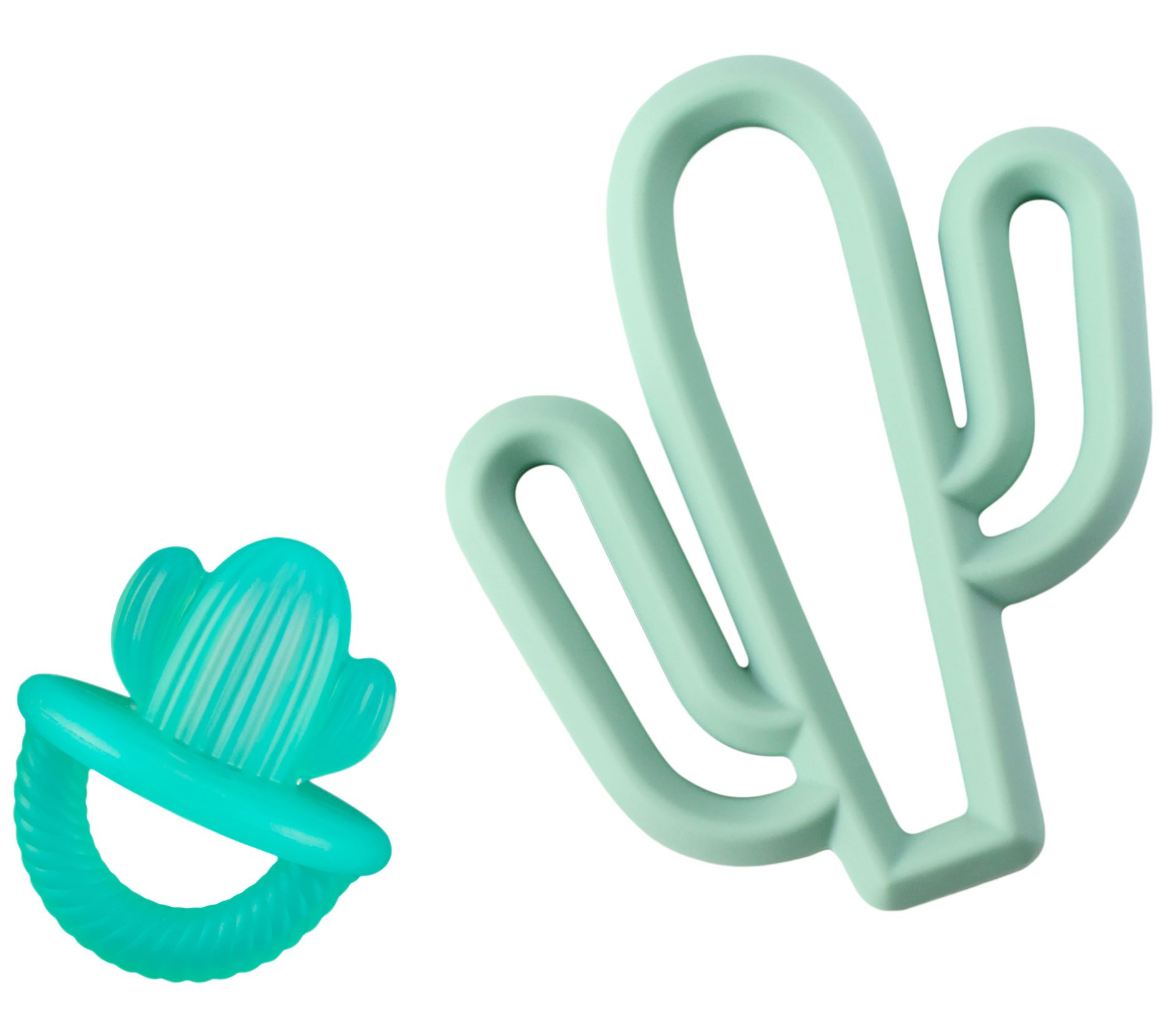 itzy ritzy cactus