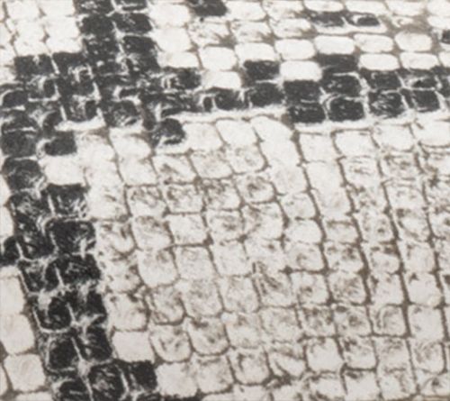 Blk/Wht Snake
