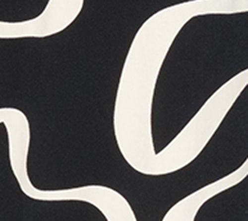 Black Squiggle
