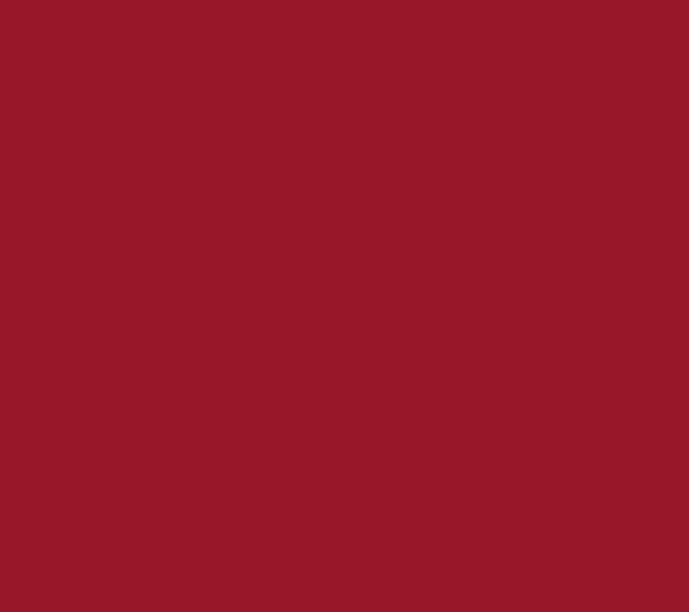 Wine Suede