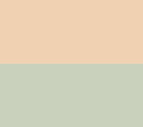 Sand Shell