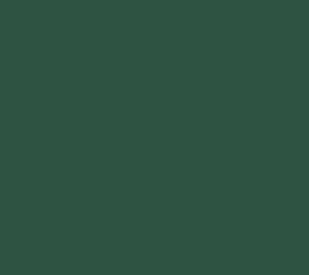 Evergreen Pine
