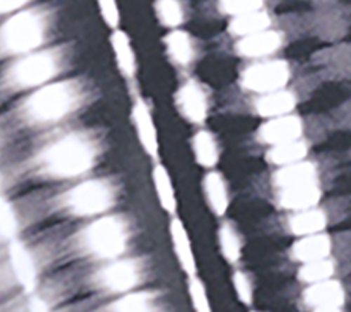 Black Shibori