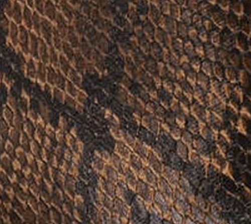 Brown Snake