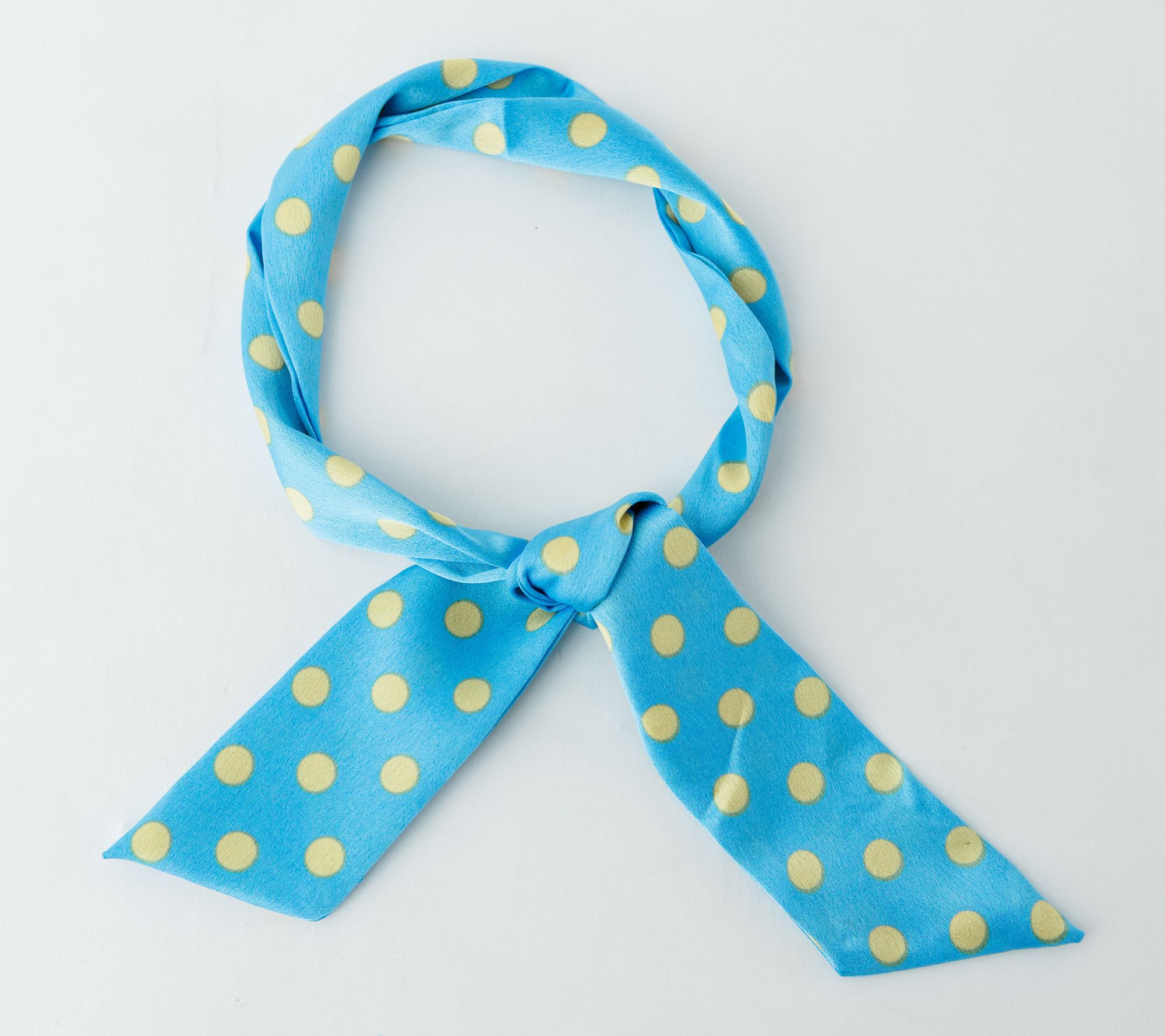 Violet and Brooks Dot Skinny Scarf