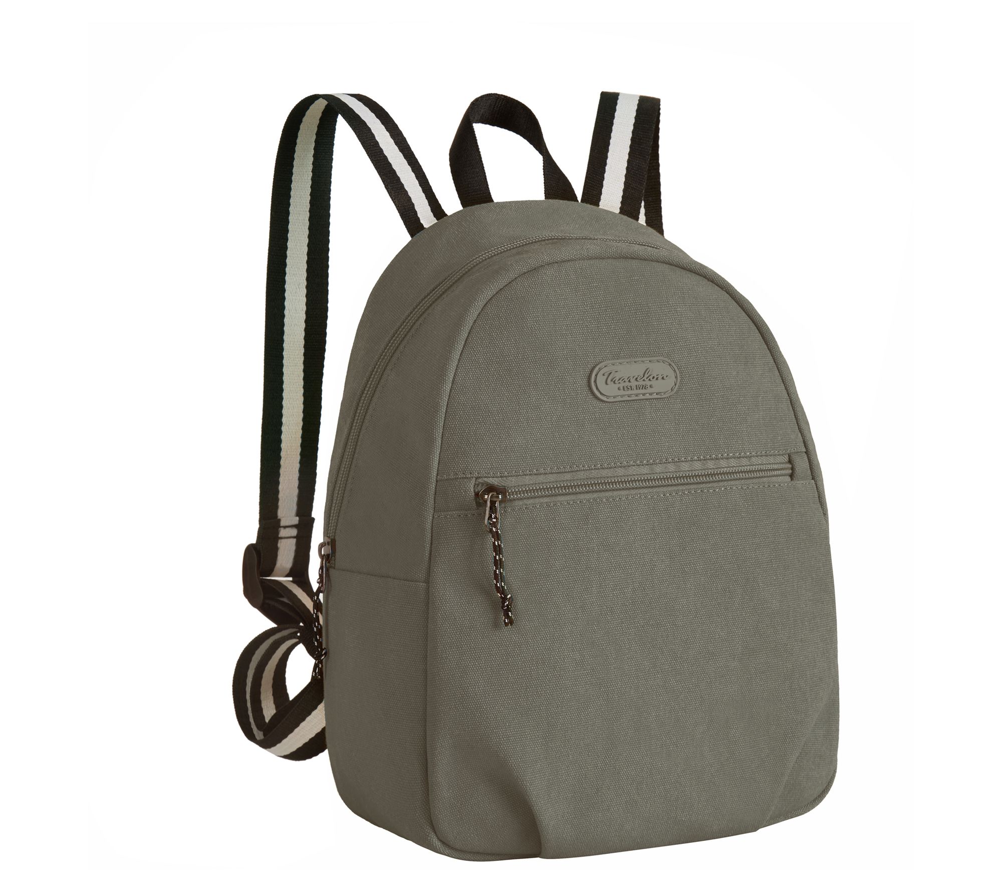 Coastal RFID Blocking Small Backpack