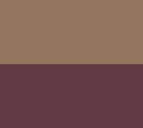 cnBlSmoothBlush