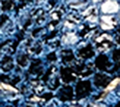 Navy Snake