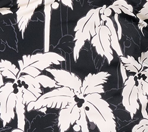 Black Palm Tree