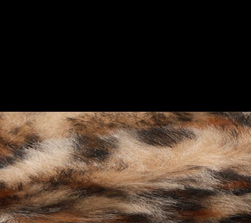Black/Cheetah