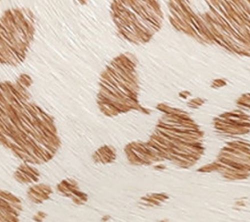 Tan Cow