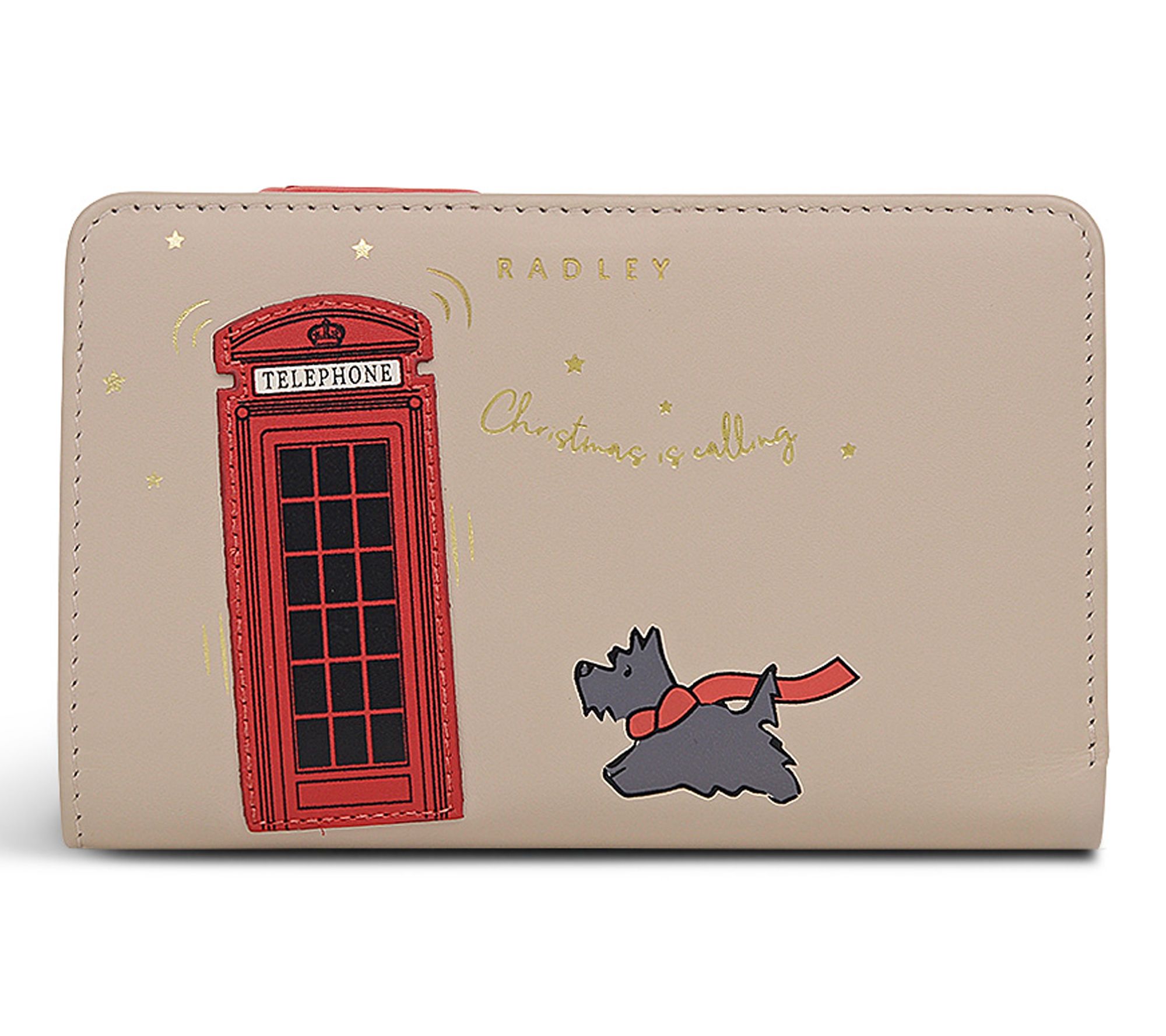 RADLEY Christmas Is Calling Medium Leather Bi-fold Wallet