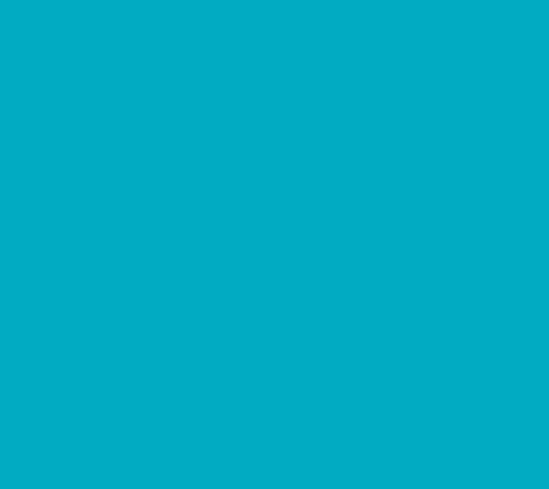 Joyful Teal