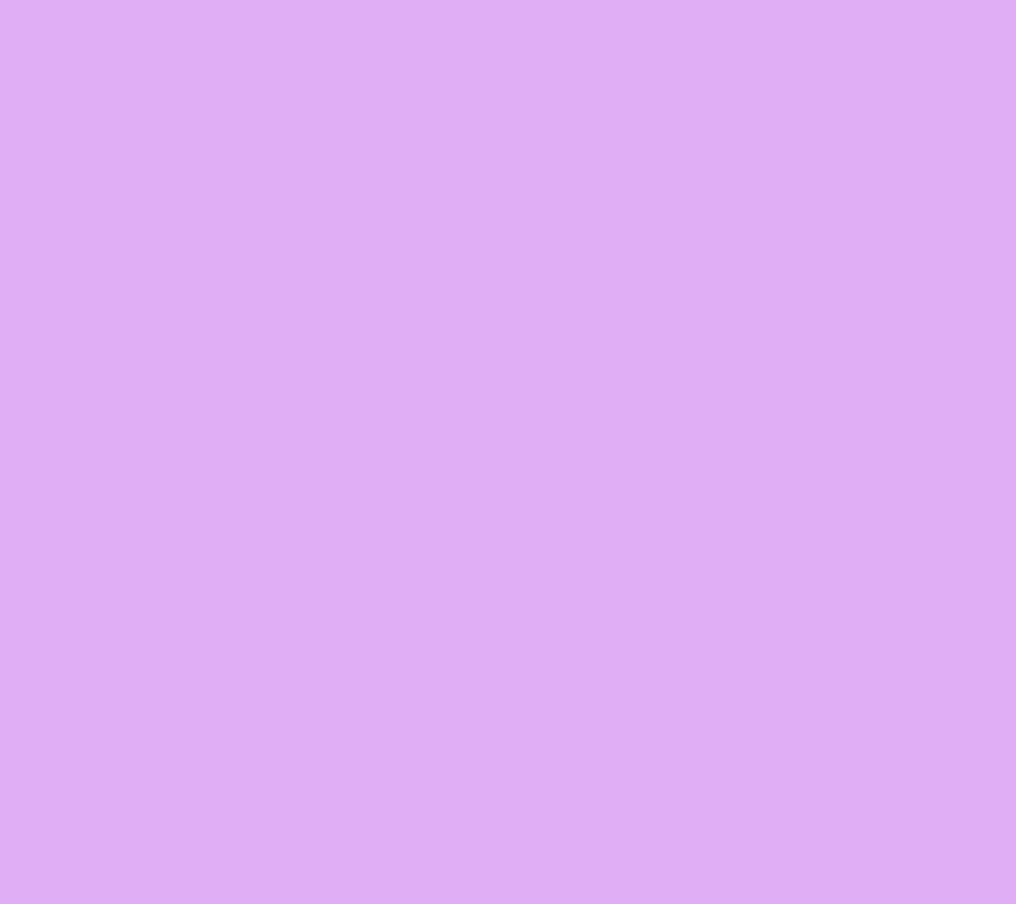 Lavender Grove