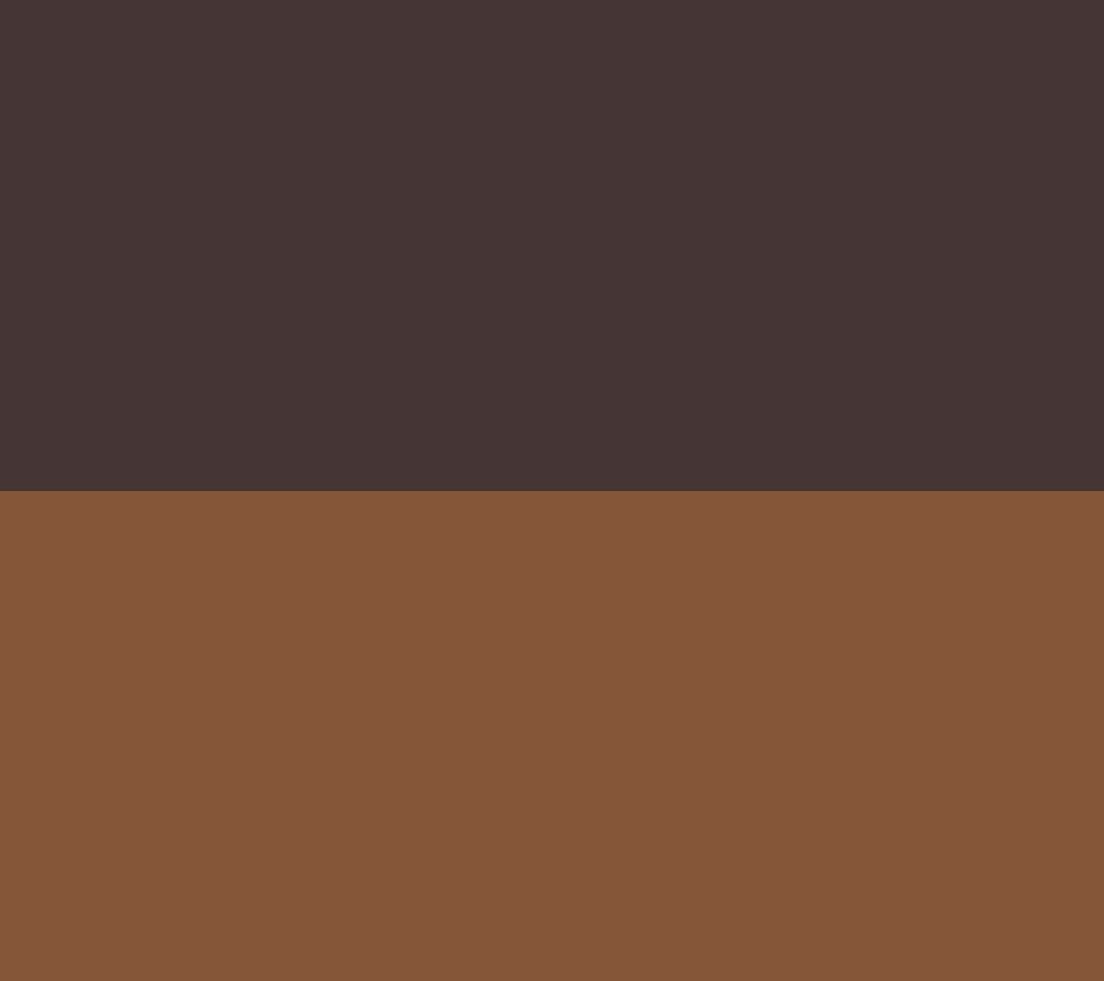 Tortoise