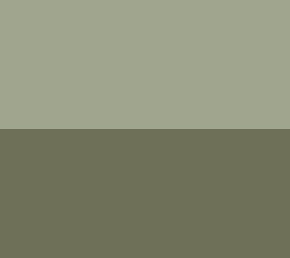 ArmySg/MtlcMtyO