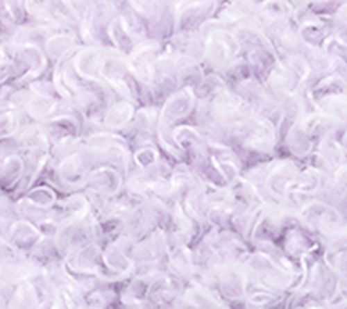 Lavender Daisy