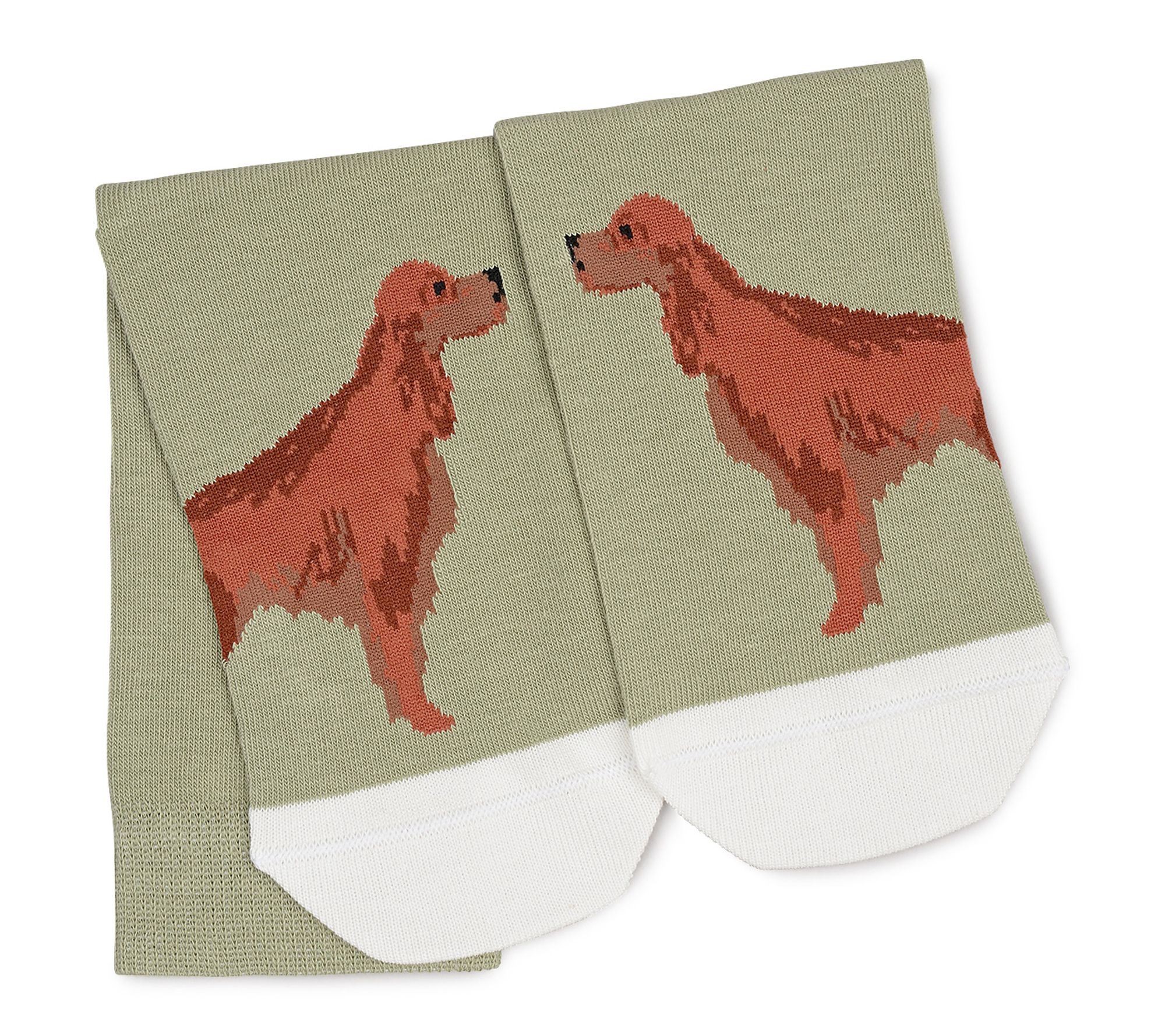 RADLEY Radley & Friends 1 Pack Sock