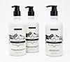 Beekman 1802 Goat Milk Hand Wash and Lotion Ceramic Caddy Set, 1 of 2