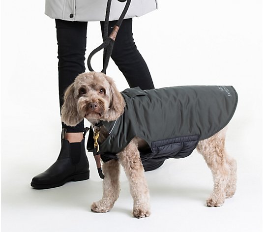Arctic Expedition Reversible Dog Coat