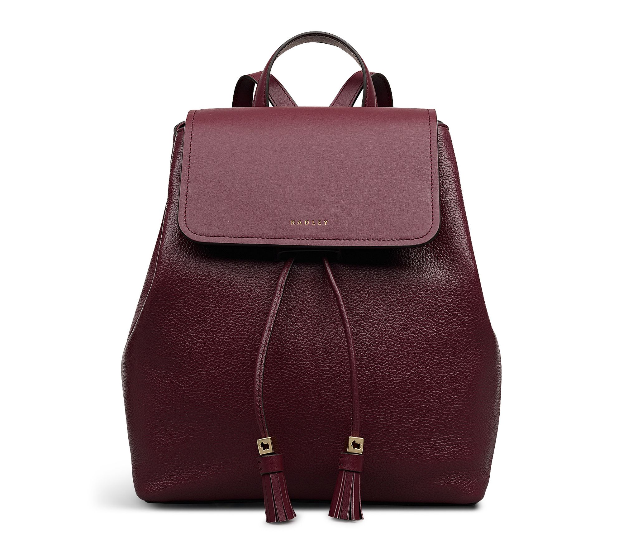 RADLEY Noble Alley Small Flapover Leather Backpack