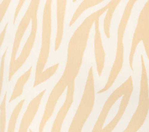 Sand Zebra