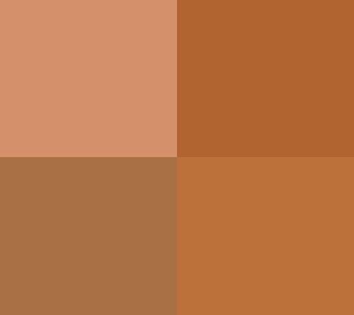 Warm Bronzes